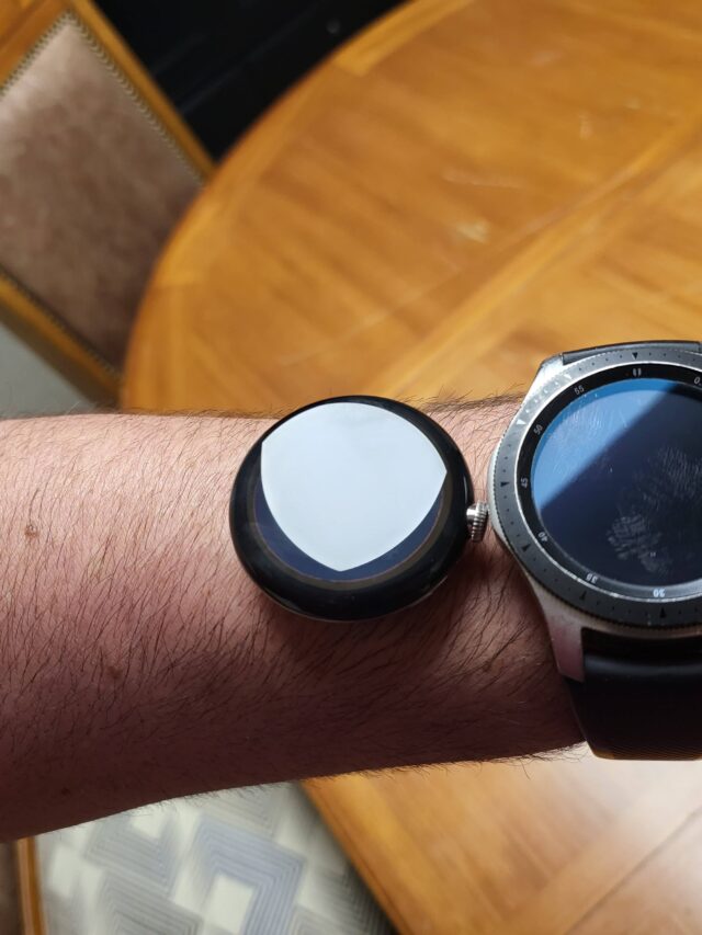 Examine the Google Pixel Watch